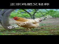 整幢出租 商住一體 朝陽路私宅