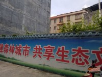 東湖興華路200平方三面見光大地皮 東湖地皮