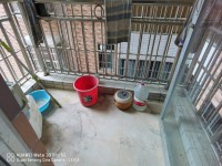 市中心,安靜小區(qū),3室2廳2衛(wèi)2陽臺普通 卓信新城