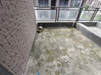 其它圖
