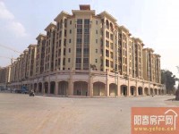 出售鉑金灣臨街商鋪，帶租出售，即買即租！ 碧桂園中興鉑金灣