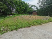 河西地皮10X10占地，前后5米，無出讓 河西地皮