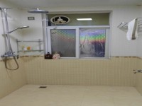 其它圖