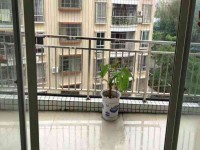 其它圖