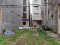 城南附近地皮，5×10有出讓，前后八米路 鯉魚崗