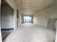 國鼎中央公園 聯(lián)排別墅 有大花園 南北通 國鼎中央公園