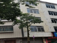 城南私宅前路32米，五層256方，正大街 城南私宅