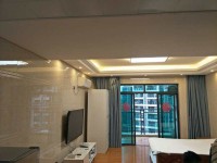 東湖天下精裝一房一廳45平方137256 東湖天下