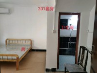 河西全新單間一房一廳出租，有廚房可煮飯 河西私宅