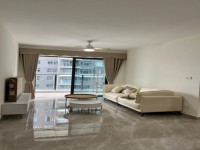 小區(qū)環(huán)境好，精裝家私家電齊全 國鼎天悅半島