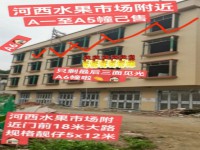 河西私宅18米路5X12，出入方便 河西私宅