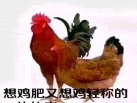 無公攤300㎡送車位,強勢來襲,速度下手 河西私宅