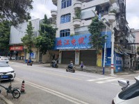 鯉魚崗大路口  臨街旺鋪 城南私宅