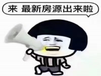 鉑金灣花園小區(qū)大復(fù)式帶兩個(gè)小車位有興趣私 中興名志鉑金灣