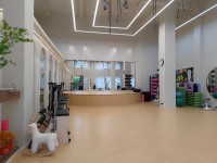 其它圖