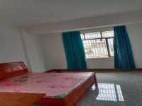 市中心附近 出租房單房 350元/月出租 國(guó)泰附近出租房