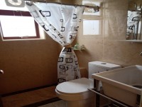 其它圖
