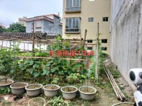 東湖靚地皮出售，7.2X9占地面積，前5 東湖地皮