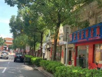 市中心商5.57乘6.53 兩層半  前 市中心私宅