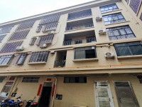 河西私宅！ 6室2廳2衛(wèi)2陽臺毛坯 使用 河西私宅！