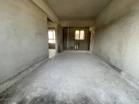 尚品愛琴海，54方兩房一廳，東南向，可毛 尚品愛琴海