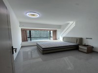 其它圖