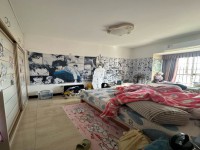 其它圖