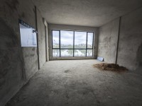市中心商 住聯(lián)排別墅占地5×10.3使用 世紀(jì)星河灣