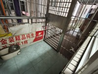 其它圖