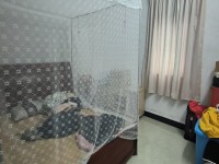 其它圖