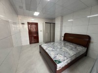 河西電梯公寓有套間550，一房780，兩 河西私宅