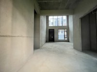 碧桂園天麓別墅，雙拼，3面都有花園，0  碧桂園天麓