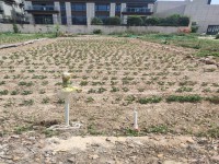 占地5.3×15，前路18米，后8米，僅 城北地皮