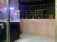 其它圖