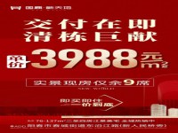 3988買國鼎 新天地
