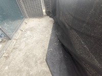 國鼎中央公園3+1戶型，可以精裝修62. 國鼎中央公園