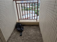 其它圖