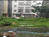 河西地皮，占地8×9，前后8米路，三面見 河西地皮