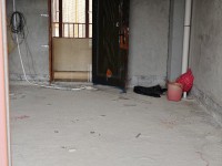其它圖