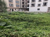 河西地皮占地7.5X11.9可賣地皮 河西地皮