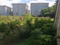 城北地皮 占地8.8x9三層前后7米路成 城北地皮