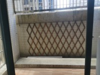 其它圖