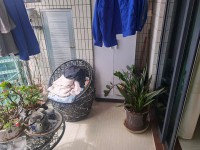 其它圖
