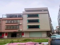 河西全新私宅出售 河西私宅