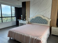 三代同堂，大平層 星海灣