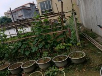 東湖地皮周邊配套完善，毛坯 有鑰匙帶您看 東湖地皮