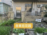 河西別墅，前后10米，三面見光 頤和華府