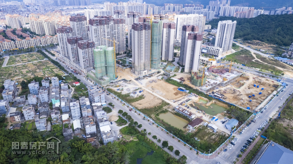 DJI_0856.JPG