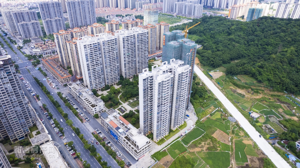DJI_0411.JPG