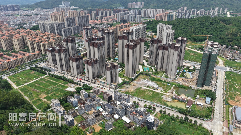 DJI_20250620130109_0147_D_F.JPG